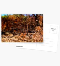 Bushland Postcards