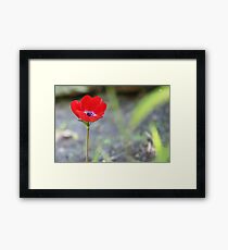 Survival Framed Print