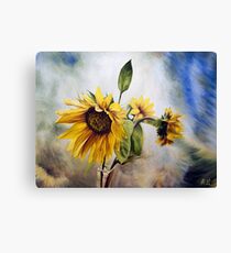 Oil painting "Sunflower" Canvas Print