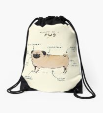 Anatomy of a Pug Drawstring Bag