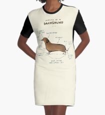Anatomie eines Dackels T-Shirt Kleid