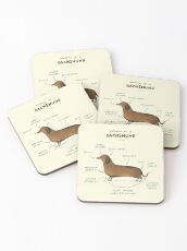 Anatomy of a Dachshund Coasters