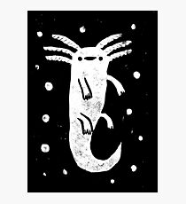 Axolotl Print Photographic Print