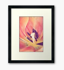 Delicate Framed Print