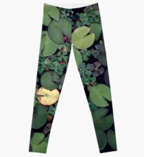 Lily Pads Leggings
