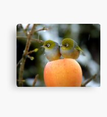 Hun..What Time Is The Parade Supposed To Start? - Silver-Eye - NZ Canvas Print