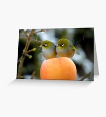 Hun..What Time Is The Parade Supposed To Start? - Silver-Eye - NZ Greeting Card