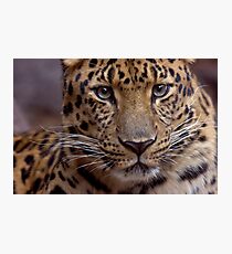 Humble Photographic Print