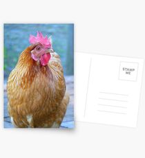 RIP Rosie Girl - NZ Postcards