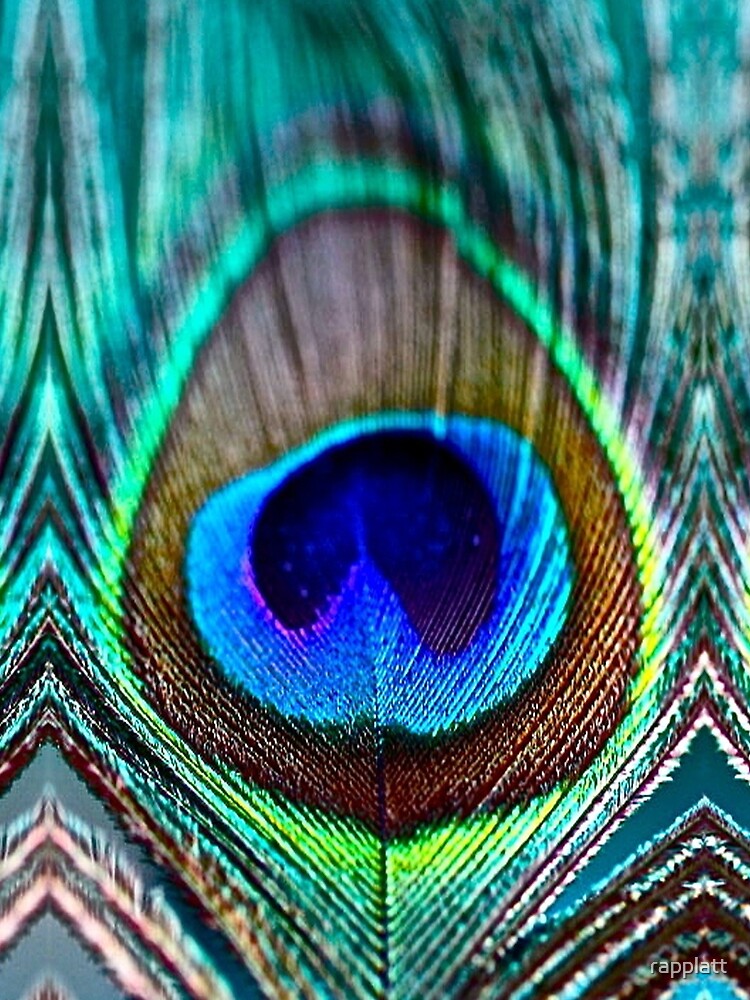 Peacock Feather by rapplatt