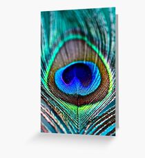 Peacock Feather Greeting Card