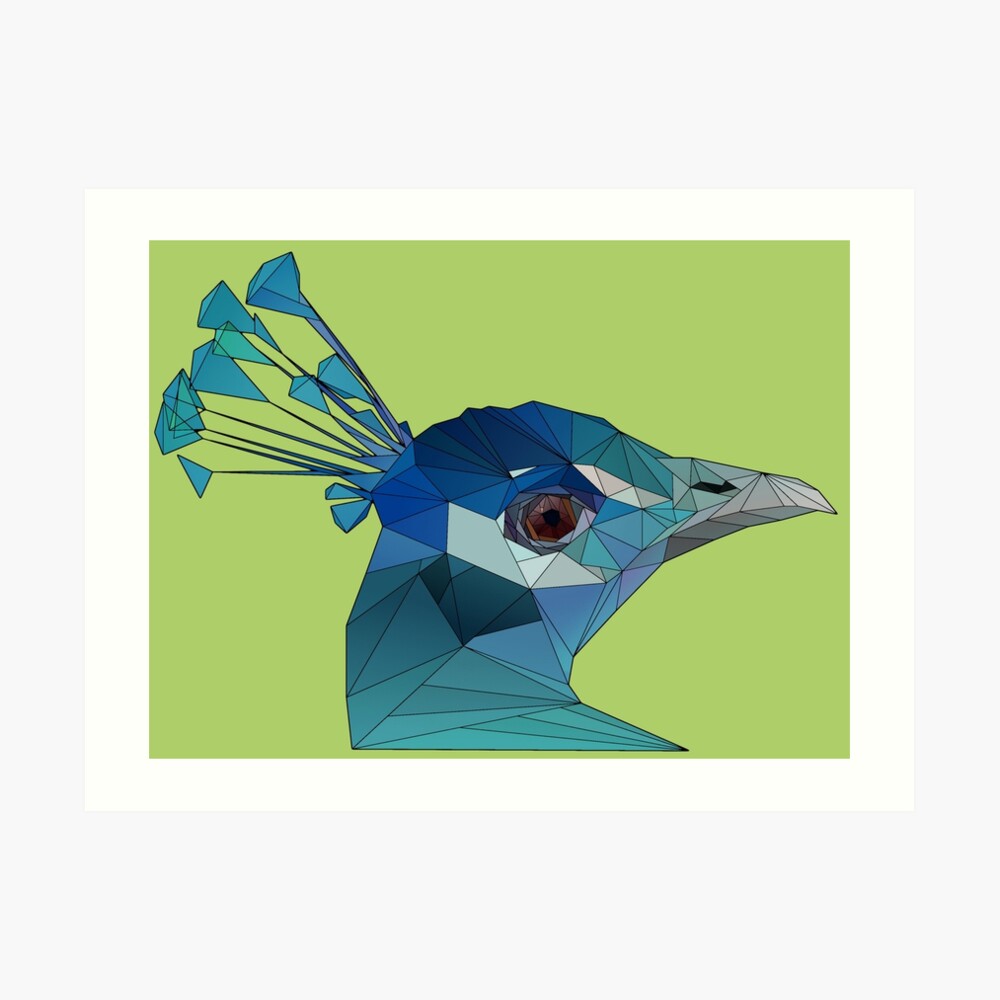 peacock geometric drawing