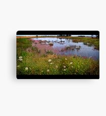 the swamp Canvas Print