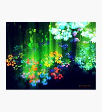 May Showers Photographic Print