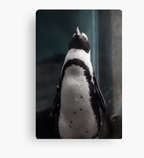 Penguin Canvas Print