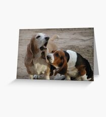 Shango pulling on Angel's ear Greeting Card