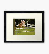 I Believe I Can Fly... I Believe... - Border Collie - NZ Framed Print