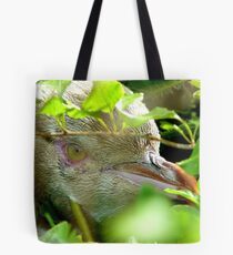 Got My Yellow Eye On You! - Yellow-eyed Penguin - Rarest Penguin in the world - NZ Tote Bag