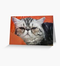 Persian Exotic Greeting Card