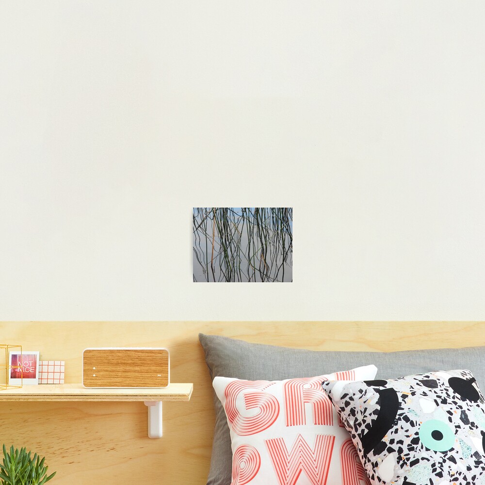 Wobbly Reeds Photographic Print