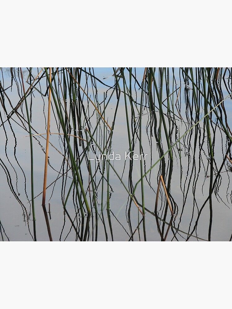 Wobbly Reeds by 4sure