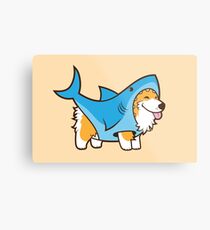 Lámina metálica Corgi en un traje de tiburón