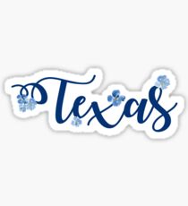 Texas Sticker