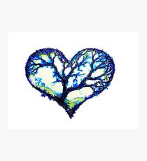 Home Is Where The Heart Is - Trees Photographic Print