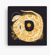 Lienzo Familiar - Python birmano