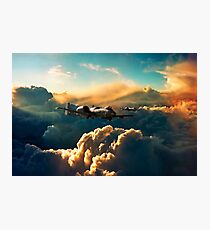 The Hogs Photographic Print