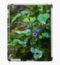 Details iPad Case/Skin