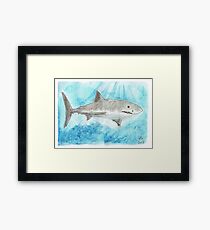 Great White Framed Print