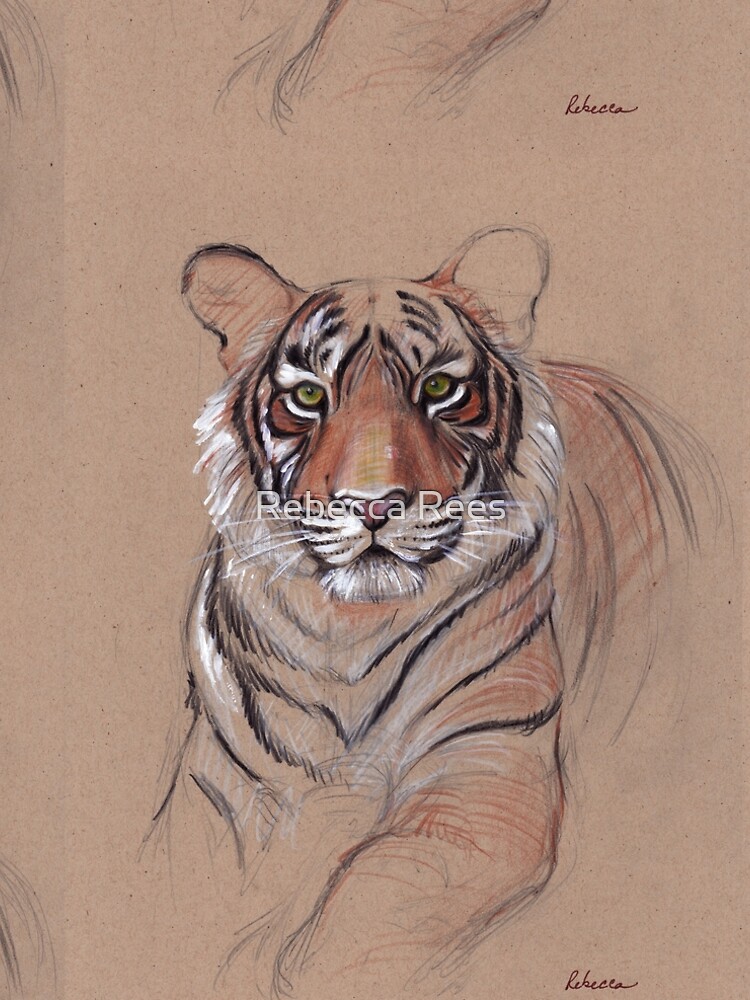 UNFINISHED BUSINESS - Original Tiger Drawing - Mixed Media (acrylic paint & pencil) by tranquilwaters