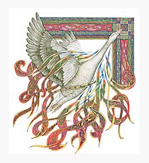 Wild Goose Photographic Print