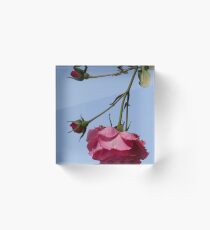 Rose Acrylic Block
