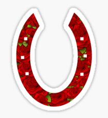Horseshoe Sticker
