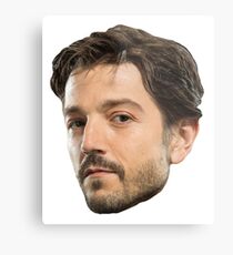 Diego Luna Metal Print