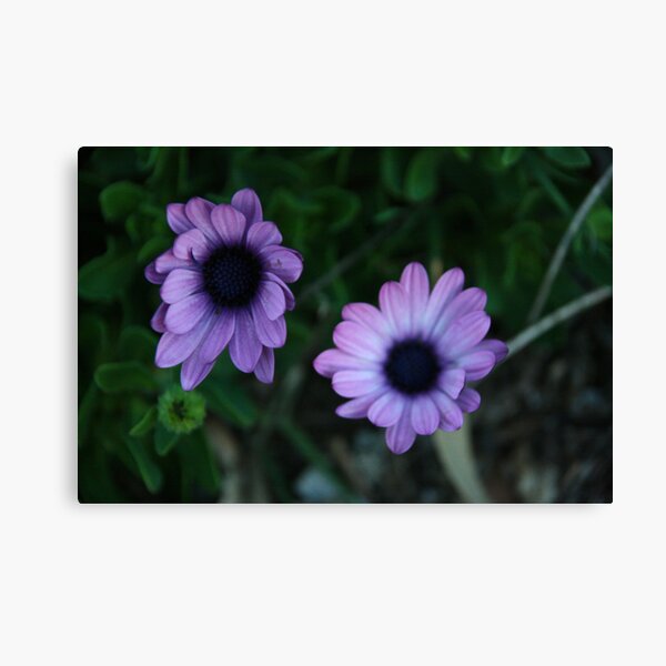 The Flowers Canvas Print