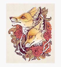 Red Fox Bloom Photographic Print