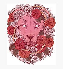 Lámina fotográfica León de rosas