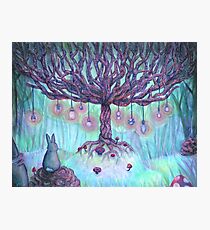 Fantasy Forest Photographic Print
