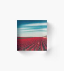 1000001 TULIPS Acrylic Block