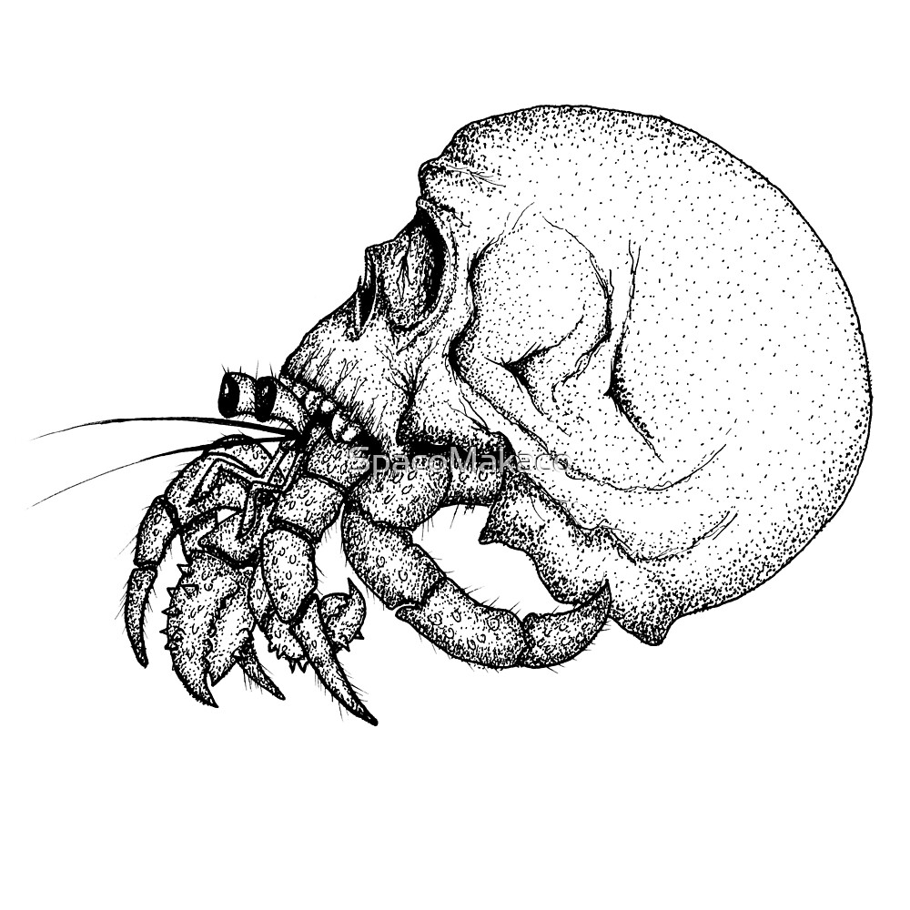"Skull Hermit Crab" by Redbubble