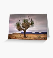 1445 The Grass Tree Greeting Card