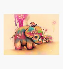 vintage tie dye elephants Photographic Print