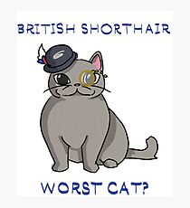 Lámina fotográfica British Shorthair: ¿el peor gato?