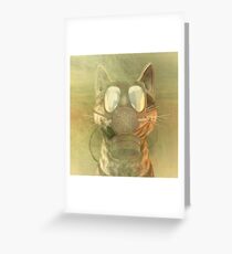 Schrödinger underestimates the cat Greeting Card