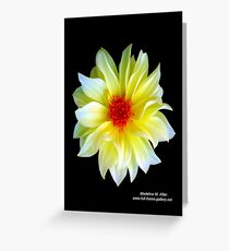 YELLOW DAHLIA Greeting Card