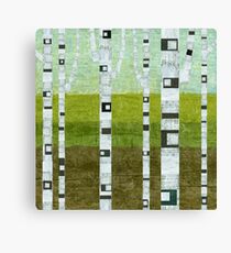 Summer Birches Canvas Print