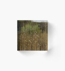 Field Acrylic Block